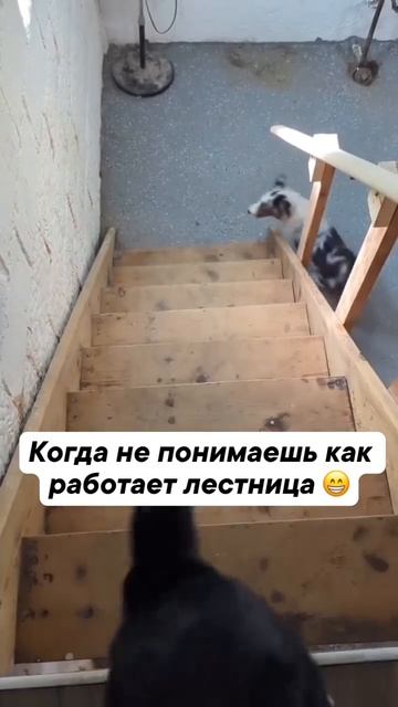 Когда не понимаешь, как работает лестница