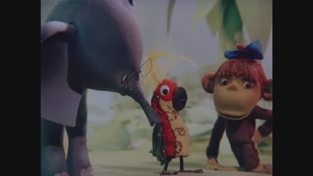 Мульфильм по попугая