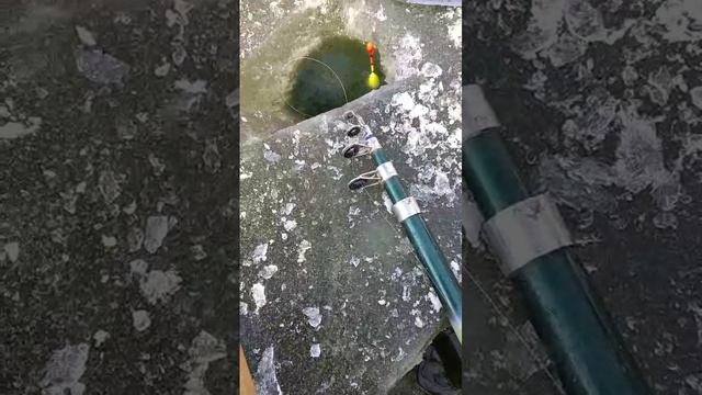 зимняя рыбалка на карася