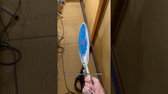 Пытаюсь отмыть японский дом