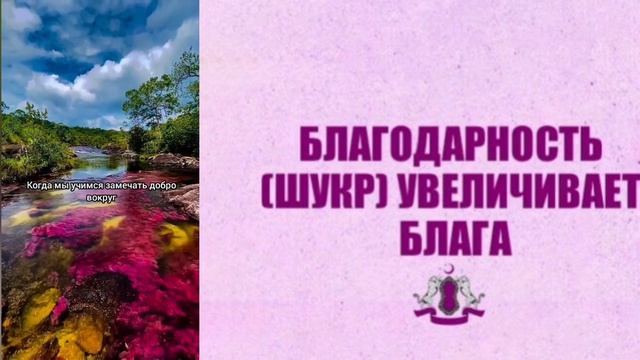 Шукр благодарность как быть благодарным Творцу?
