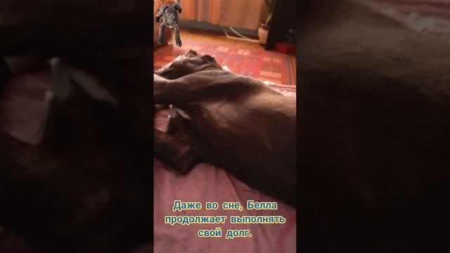 сон это не помеха.