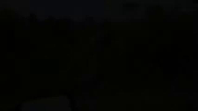 Serengeti Game Drive