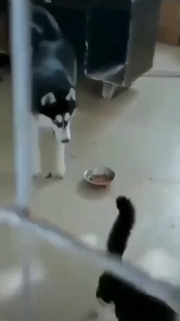 Немножко поссорились