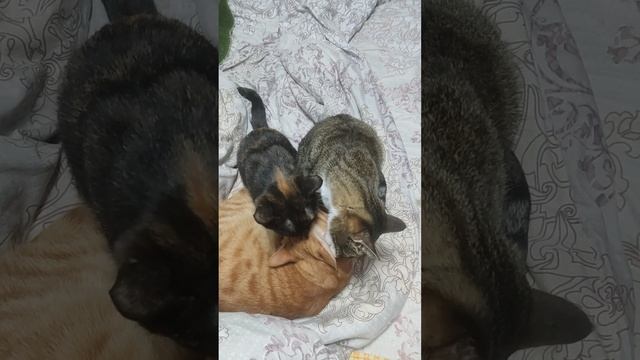 1000022997.mp4