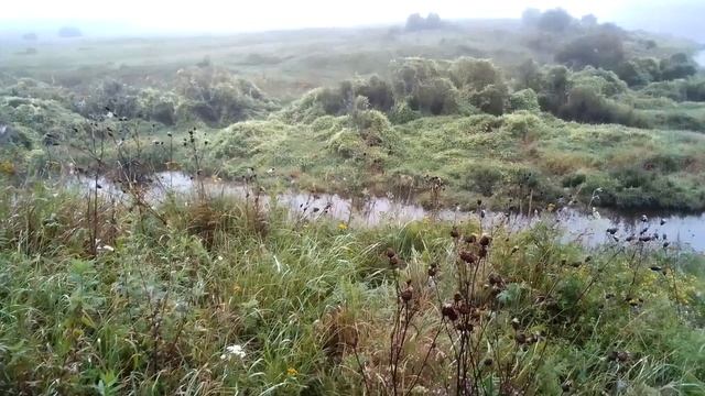 VID_20230827_091322.mp4