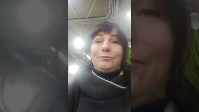 Тюльпаны