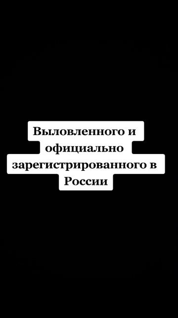 САМЫЙ БОЛЬШОЙ НАЛИМ ЗА ВСЮ ИСТОРИЮ!