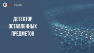Детектор оставленных предметов. Revisor VMS