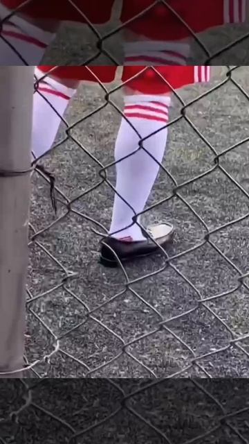 1000028837.mp4