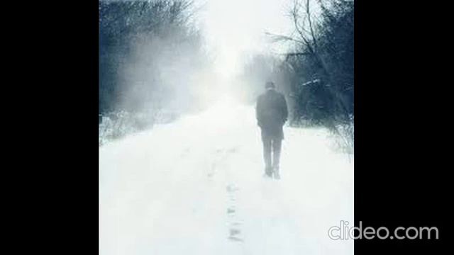 Gepard-птицы на юг