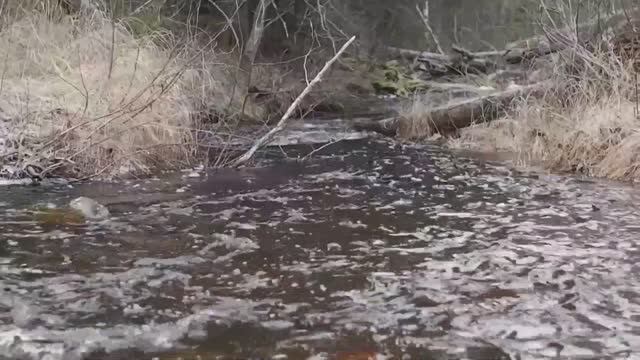 Стёжки - Дорожки.