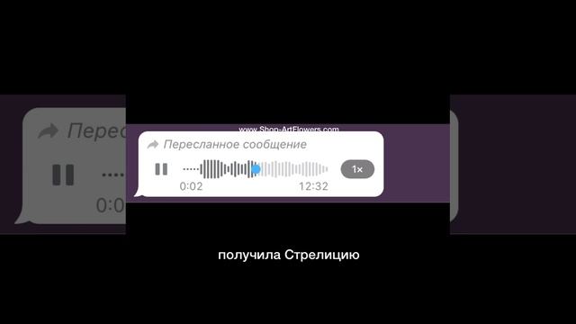Рубрика "Отзывы"