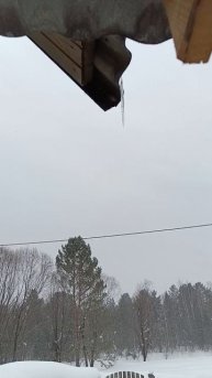 13 февраля 2025 г. Наблюдение для рисования.