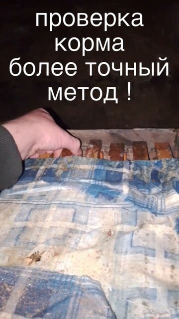 проверка корма более точный метод