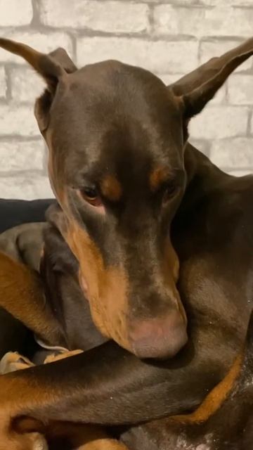 не хочу на сьемки