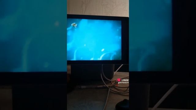 1000014638.mp4