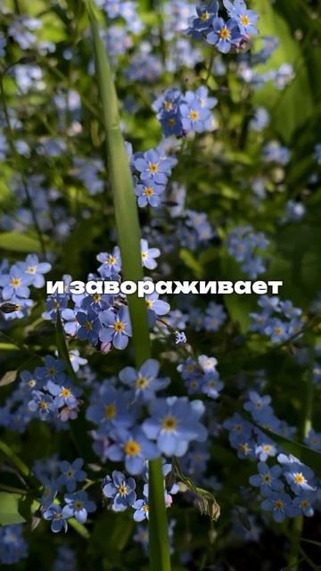 ТаЛуна «Кто ты?»