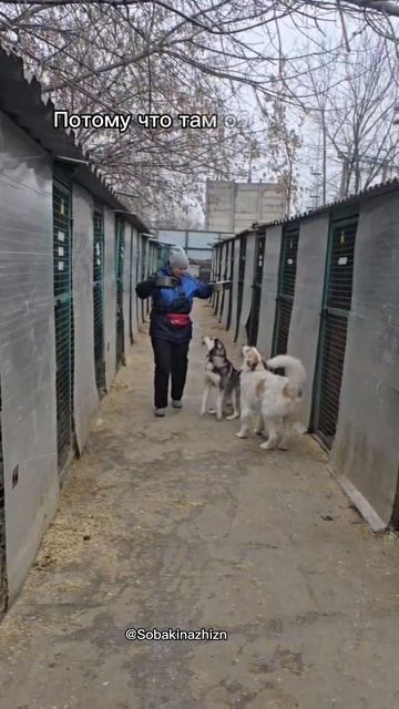 Прыгай выше, чтоб заметили