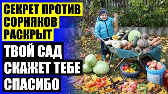 БОРЬБА С СОРНЯКАМИ МЕТОДЫ