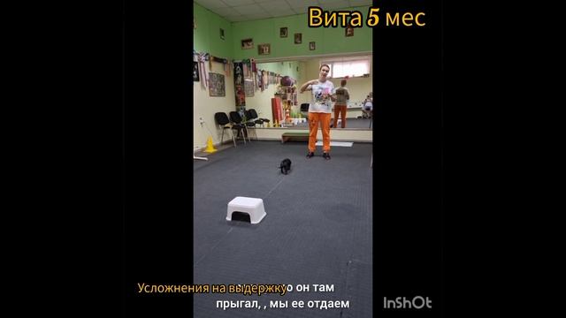 Такса учит выдержку