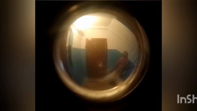дичь в подъезде 7