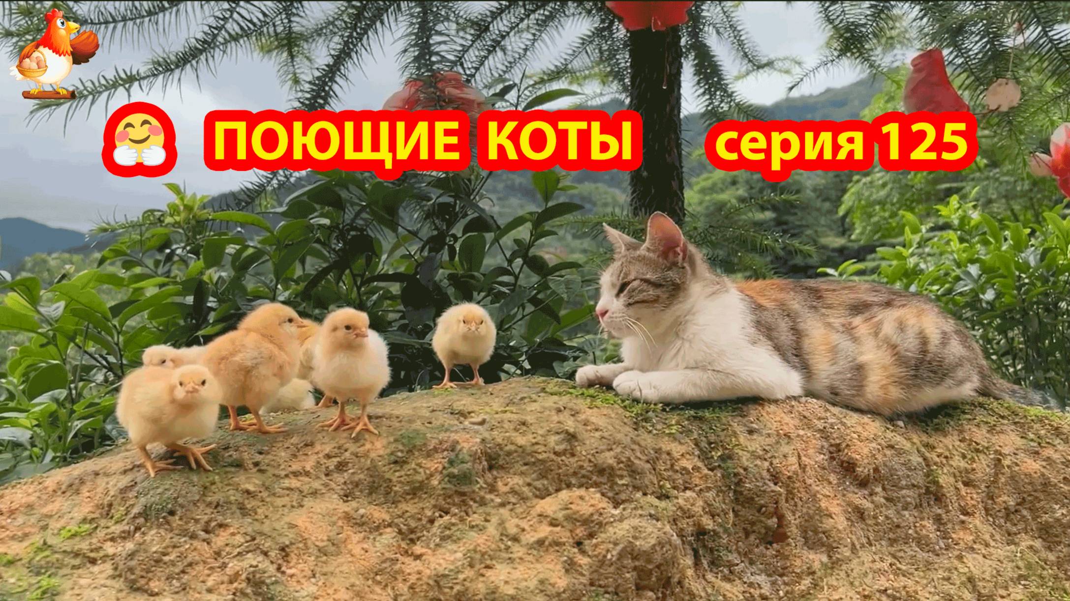 Крутые коты у птичьего двора серия (125) 🐈🐈⬛😹 Природа Абхазии и подворье с птицами и животными ❣