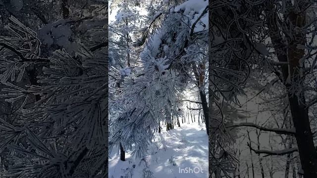 сегодня был красивый день🤗