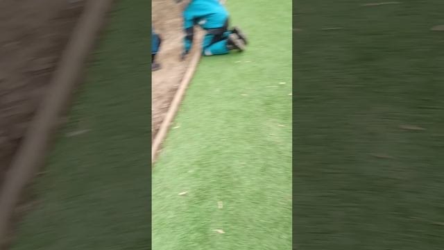 VID_20250211_145917