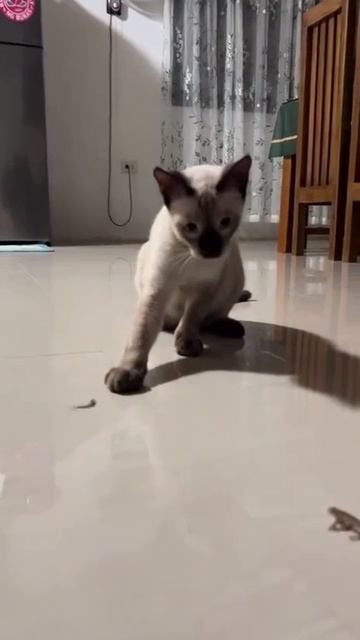 1000073573.mp4