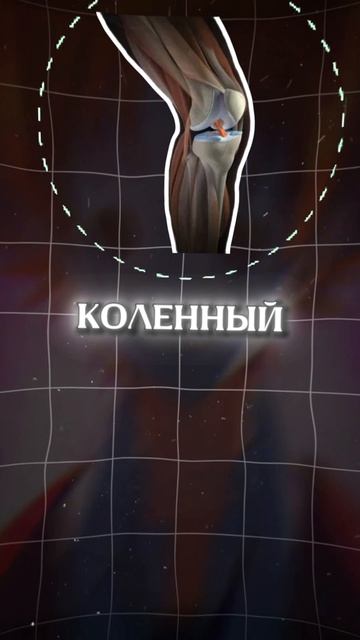 отправь тому самому другу😂