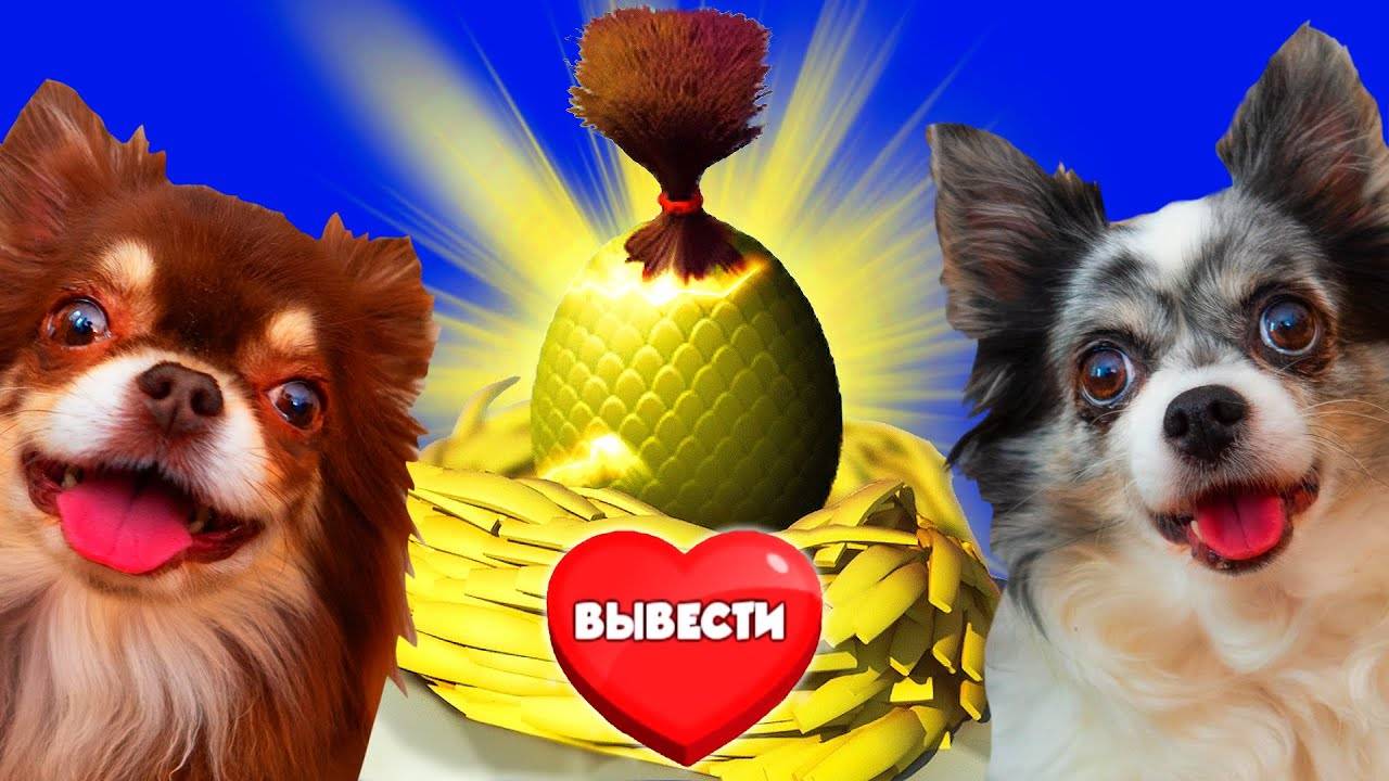 ДЕТСКИЙ САД ДЛЯ ПИТОМЦЕВ! У НАС ДЕТКИ - 24 ЧАСА В ИГРЕ ЧЕЛЛЕНДЖ