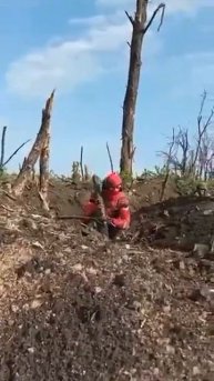 Человек-Паук воюет против Украины 😁, 10.2023