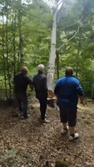 Дровосеки 😉✌️😂😂😂