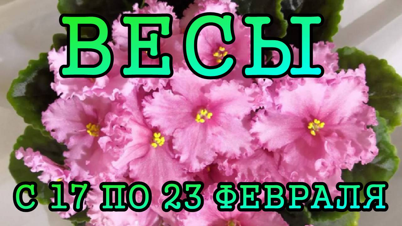 ВЕСЫ таро прогноз на неделю с 17 по 23 ФЕВРАЛЯ 2025 года.