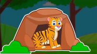 Learn Where Animals Live Animals For Kids Animals And Their Homes For Toddlers RV AppStudios