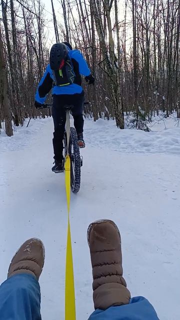 кактаем на велосипеде norco
