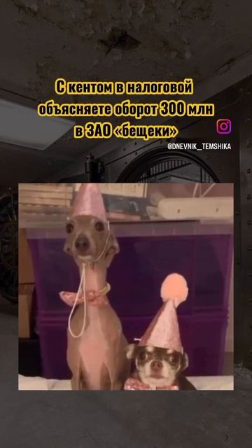 Ржу не могу! ))
