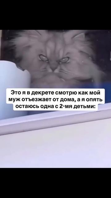 😂😂😂