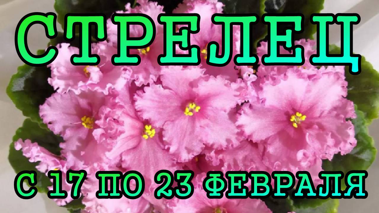 СТРЕЛЕЦ таро прогноз на неделю с 17 по 23 ФЕВРАЛЯ 2025 года.