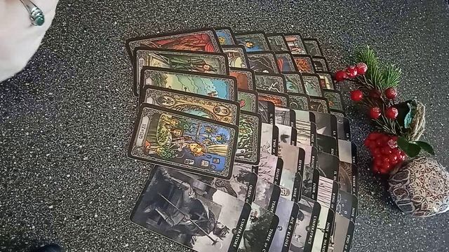 VID_20250212_153519.mp4