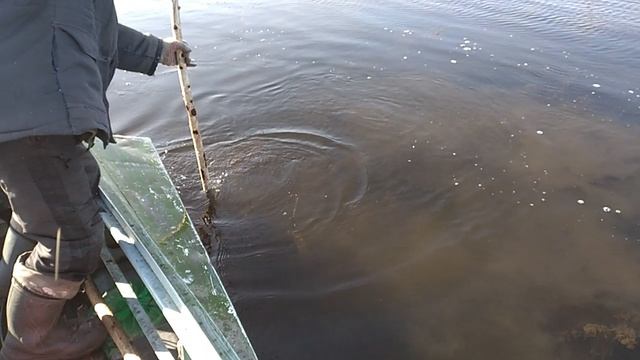 рыбалка.mp4