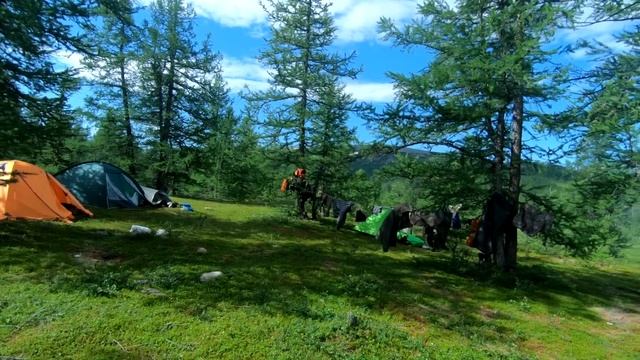 Лесные - как на севере принимают гостей (ханты). рыбалка - мечта каждого клюет на каждом забросе!