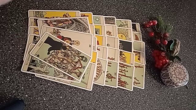 VID_20250213_103340.mp4