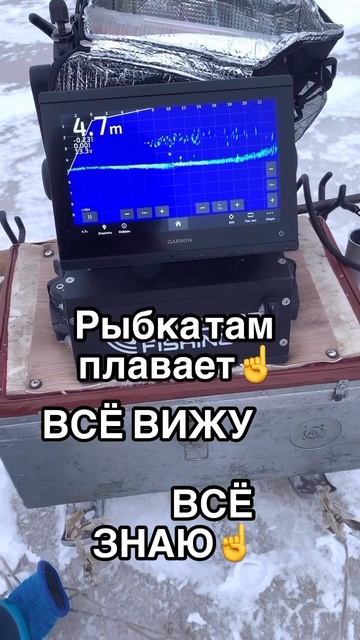 ВСЁЁЁ ВИЖУУУ… ВСЁЁЁ ЗНАЮ…