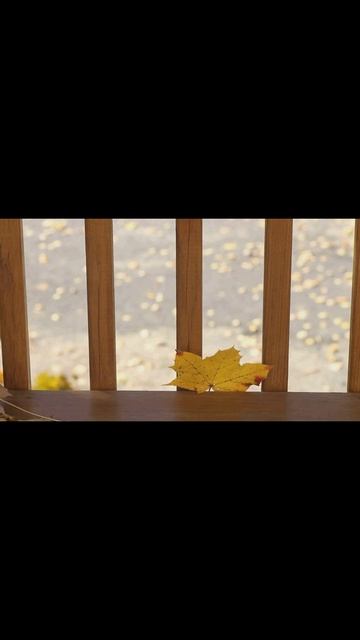 Друг мой#shorts
