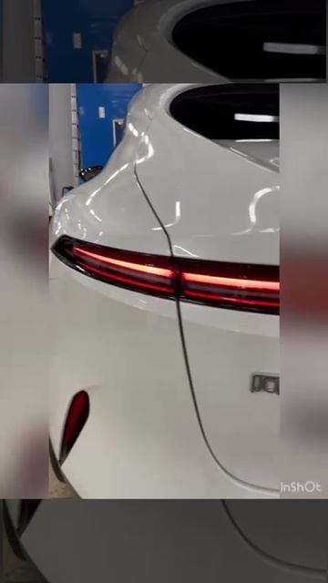 AVATAR 11