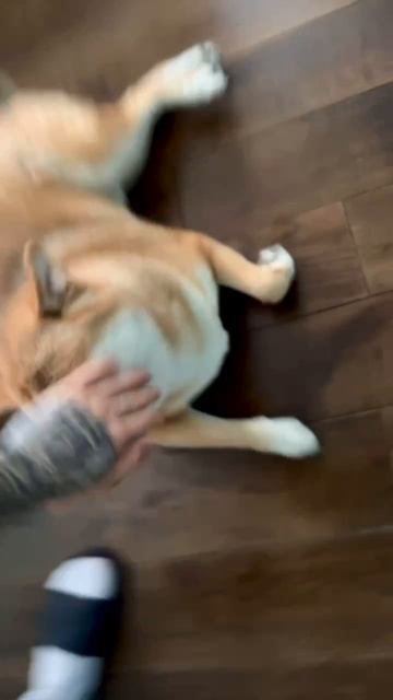 Барахолка Эдисона