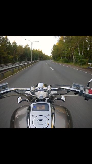 Moto Vibe