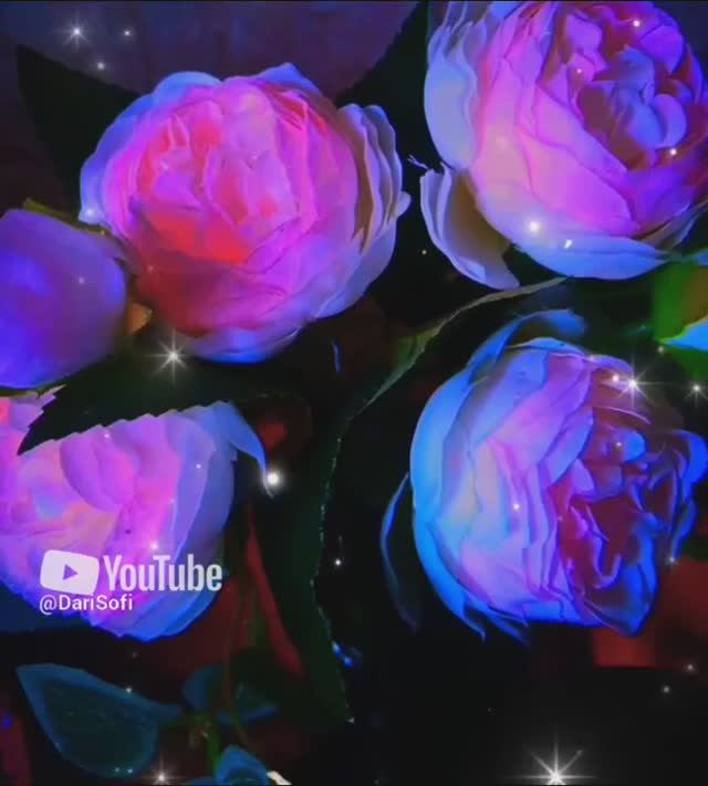 1739365823649